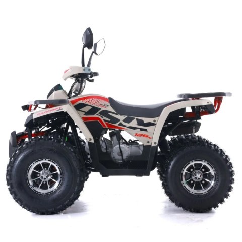 Quad ASIX FOURCRAFT 125 4T 1+R automat piaskowy