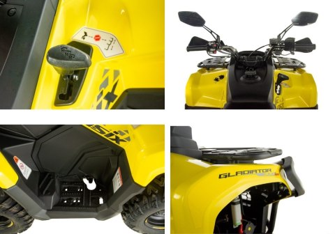 Quad ASIX GLADIATOR 300 4T szary